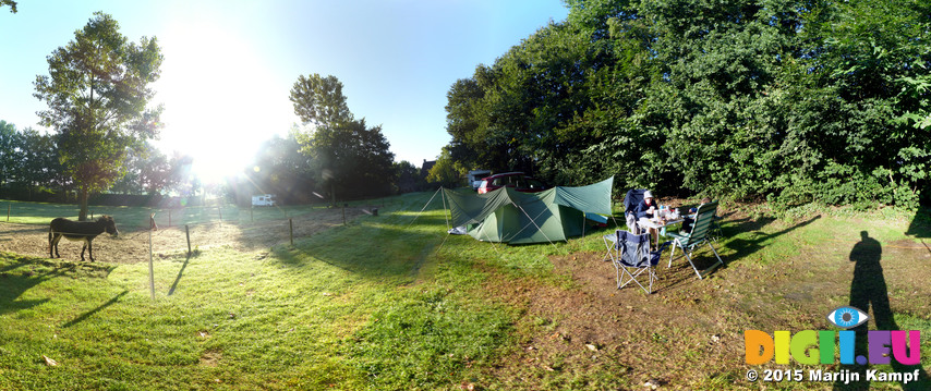 FZ019786-829 Breakfast in the morning sun